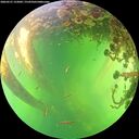 ./images/calvert/underwater/20260531/underwater20260531_152001M.jpg