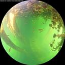 ./images/calvert/underwater/20260531/underwater20260531_152501M.jpg