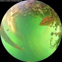 ./images/calvert/underwater/20260531/underwater20260531_154001M.jpg