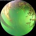 ./images/calvert/underwater/20260531/underwater20260531_160501M.jpg