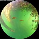 ./images/calvert/underwater/20260531/underwater20260531_161001M.jpg