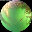 ./images/calvert/underwater/20260531/underwater20260531_163001M.jpg
