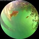 ./images/calvert/underwater/20260531/underwater20260531_163501M.jpg