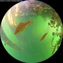 ./images/calvert/underwater/20260531/underwater20260531_164502M.jpg