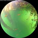 ./images/calvert/underwater/20260531/underwater20260531_165001M.jpg