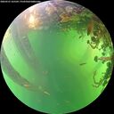 ./images/calvert/underwater/20260531/underwater20260531_165502M.jpg