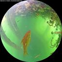 ./images/calvert/underwater/20260531/underwater20260531_170001M.jpg