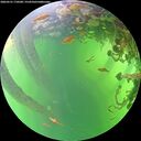 ./images/calvert/underwater/20260531/underwater20260531_170501M.jpg