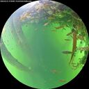 ./images/calvert/underwater/20260531/underwater20260531_173001M.jpg