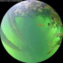 ./images/calvert/underwater/20260531/underwater20260531_175001M.jpg