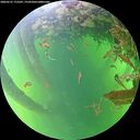 ./images/calvert/underwater/20260531/underwater20260531_175501M.jpg
