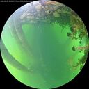 ./images/calvert/underwater/20260531/underwater20260531_180001M.jpg