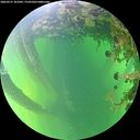 ./images/calvert/underwater/20260531/underwater20260531_181002M.jpg
