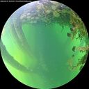 ./images/calvert/underwater/20260531/underwater20260531_181502M.jpg