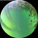 ./images/calvert/underwater/20260531/underwater20260531_182002M.jpg