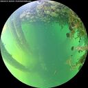 ./images/calvert/underwater/20260531/underwater20260531_182501M.jpg