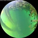 ./images/calvert/underwater/20260531/underwater20260531_183001M.jpg
