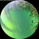 ./images/calvert/underwater/20260531/underwater20260531_183501M.jpg