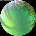 ./images/calvert/underwater/20260531/underwater20260531_184501M.jpg