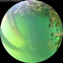 ./images/calvert/underwater/20260531/underwater20260531_185501M.jpg