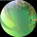 ./images/calvert/underwater/20260531/underwater20260531_190501M.jpg
