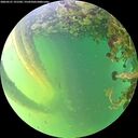 ./images/calvert/underwater/20260531/underwater20260531_191501M.jpg