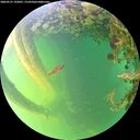 ./images/calvert/underwater/20260531/underwater20260531_192001M.jpg
