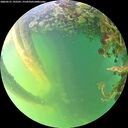 ./images/calvert/underwater/20260531/underwater20260531_192501M.jpg
