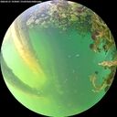 ./images/calvert/underwater/20260531/underwater20260531_193001M.jpg