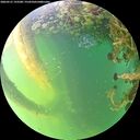 ./images/calvert/underwater/20260531/underwater20260531_193501M.jpg