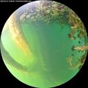 ./images/calvert/underwater/20260531/underwater20260531_194001M.jpg