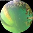 ./images/calvert/underwater/20260531/underwater20260531_194501M.jpg