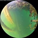 ./images/calvert/underwater/20260531/underwater20260531_200001M.jpg