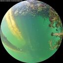./images/calvert/underwater/20260531/underwater20260531_200502M.jpg