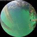 ./images/calvert/underwater/20260531/underwater20260531_201001M.jpg