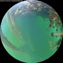 ./images/calvert/underwater/20260531/underwater20260531_201501M.jpg