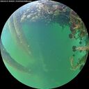 ./images/calvert/underwater/20260531/underwater20260531_202001M.jpg