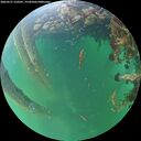 ./images/calvert/underwater/20260531/underwater20260531_210502M.jpg