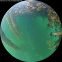 ./images/calvert/underwater/20260531/underwater20260531_211001M.jpg