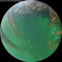 ./images/calvert/underwater/20260531/underwater20260531_212001M.jpg