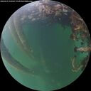 ./images/calvert/underwater/20260531/underwater20260531_214502M.jpg