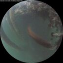 ./images/calvert/underwater/20260531/underwater20260531_221001M.jpg