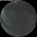./images/calvert/underwater/20260601/underwater20260601_044501M.jpg