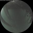 ./images/calvert/underwater/20260601/underwater20260601_045001M.jpg