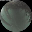./images/calvert/underwater/20260601/underwater20260601_045501M.jpg