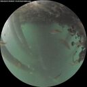 ./images/calvert/underwater/20260601/underwater20260601_050001M.jpg
