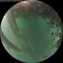 ./images/calvert/underwater/20260601/underwater20260601_051501M.jpg
