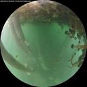 ./images/calvert/underwater/20260601/underwater20260601_053001M.jpg