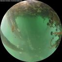 ./images/calvert/underwater/20260601/underwater20260601_054001M.jpg