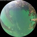 ./images/calvert/underwater/20260601/underwater20260601_060501M.jpg